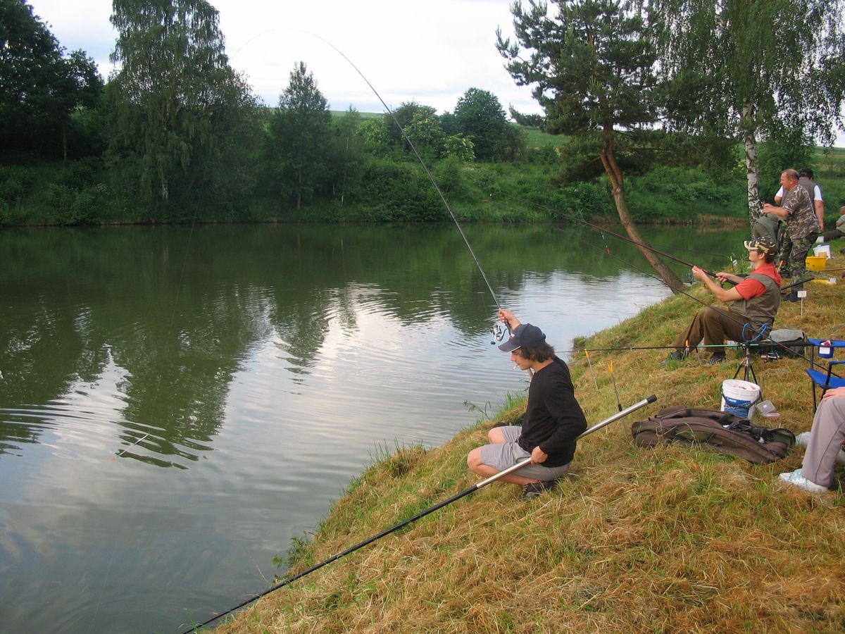 dospělí 2010-08.JPG