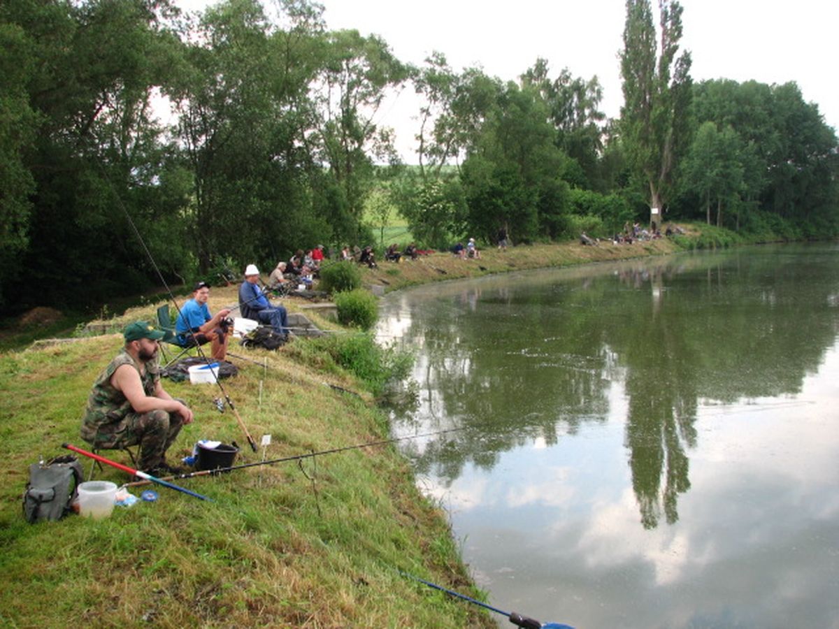 dospělí 2010-17.jpg