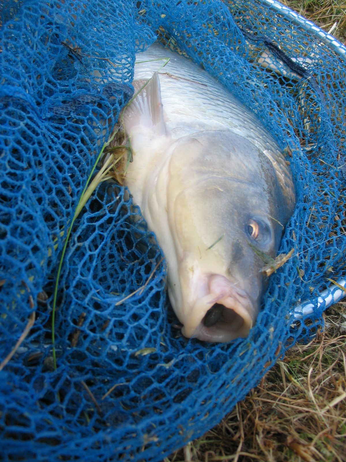 dospělí 2010-52.JPG