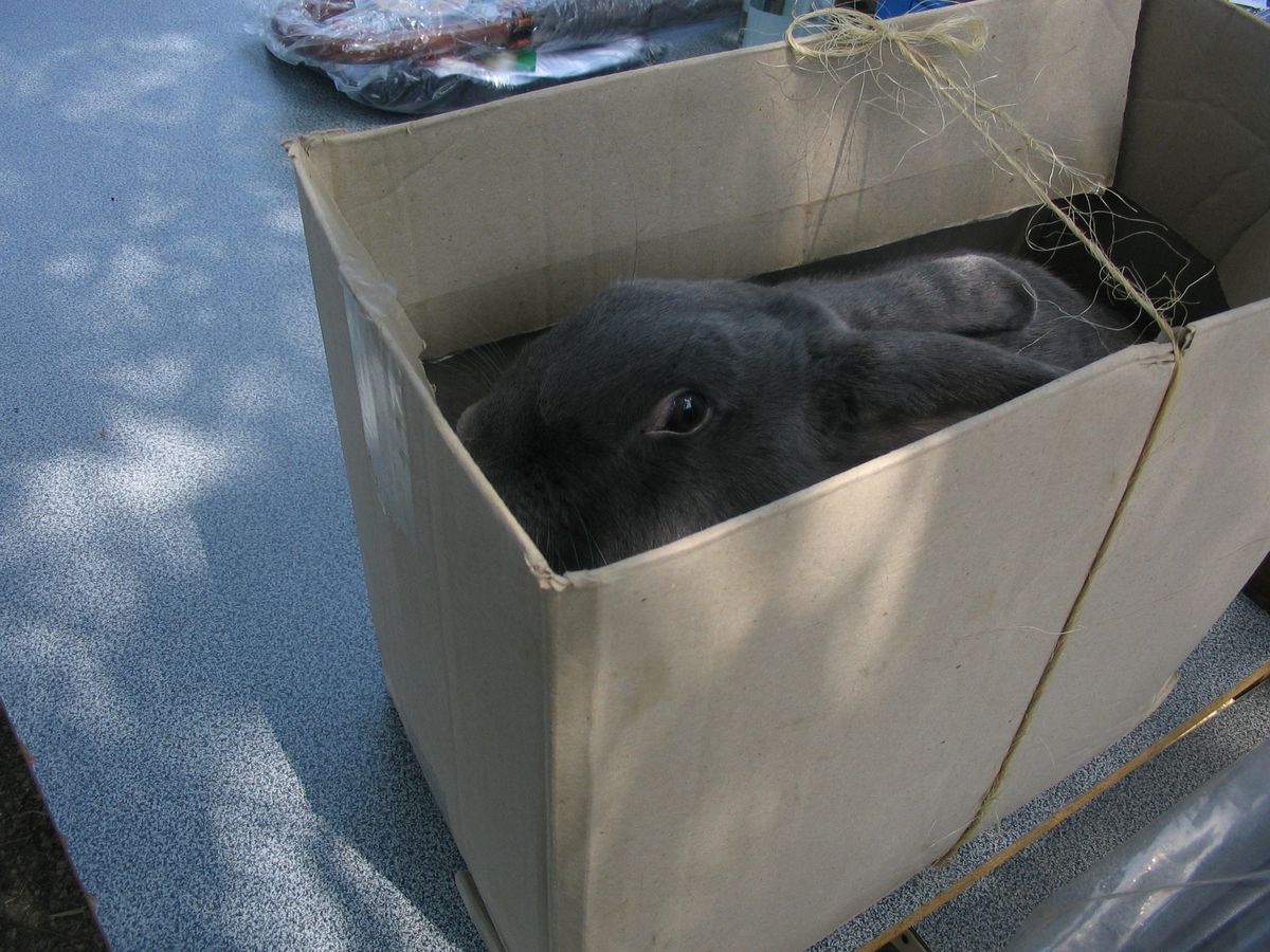 dospělí 2010-75.JPG