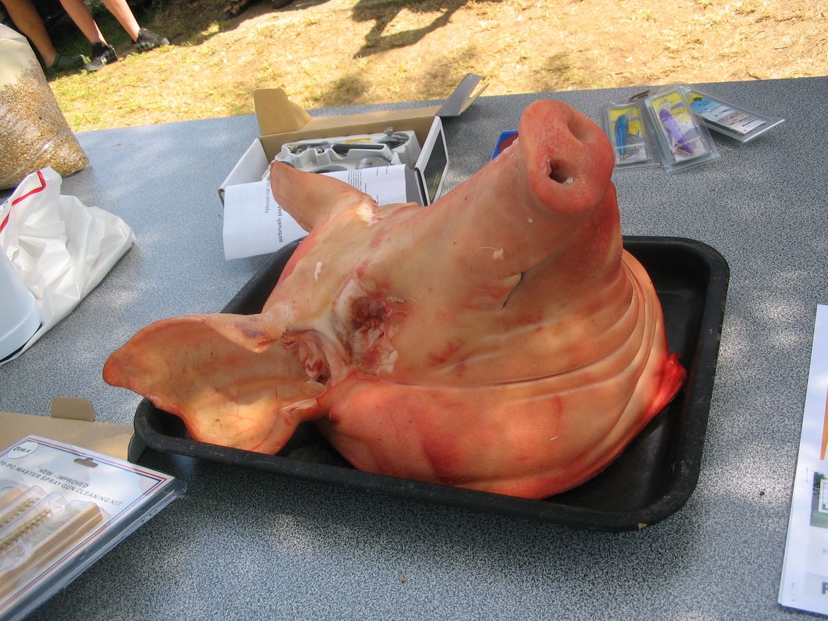 dospělí 2010-78.JPG