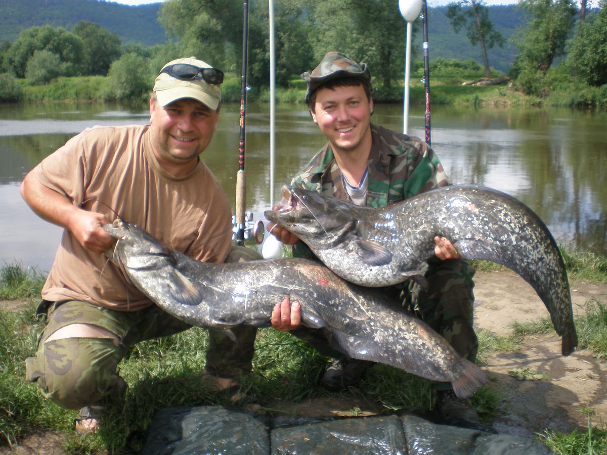 Zahájení 2010.JPG