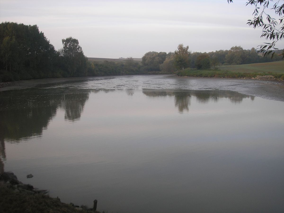 výlov 08.JPG