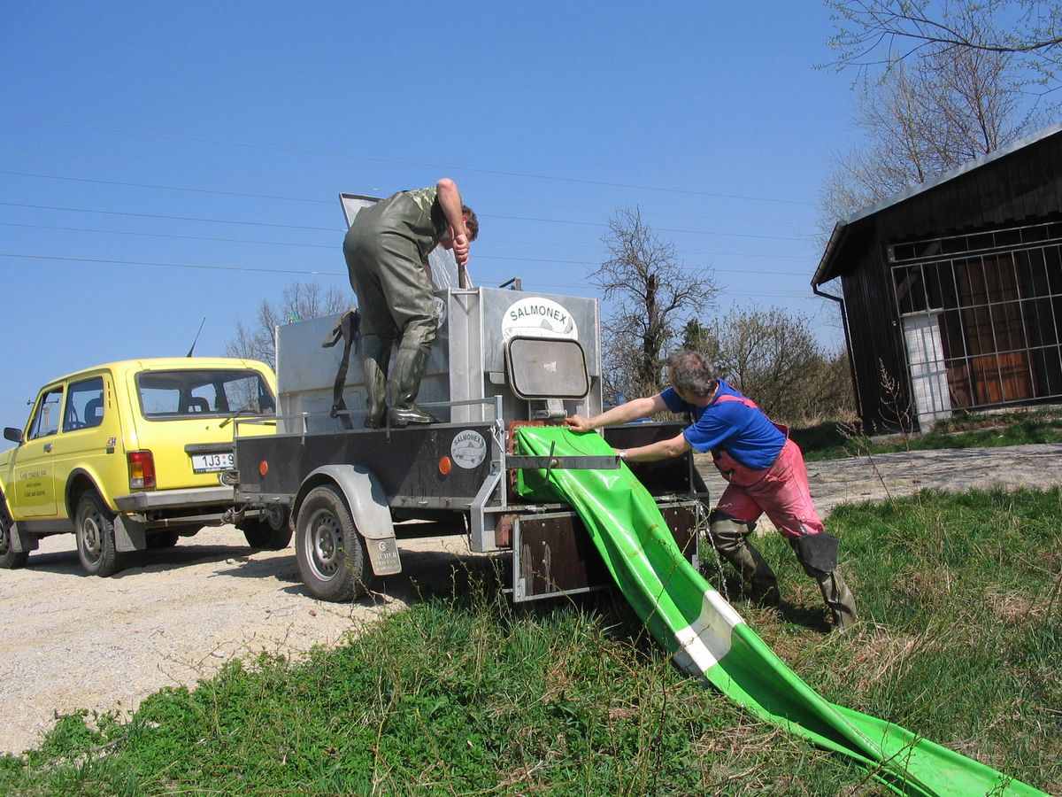 vysazení Hutě  II. - 16.JPG