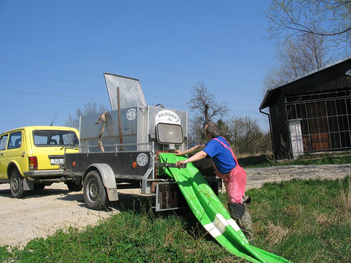 vysazení Hutě  II. - 18.JPG