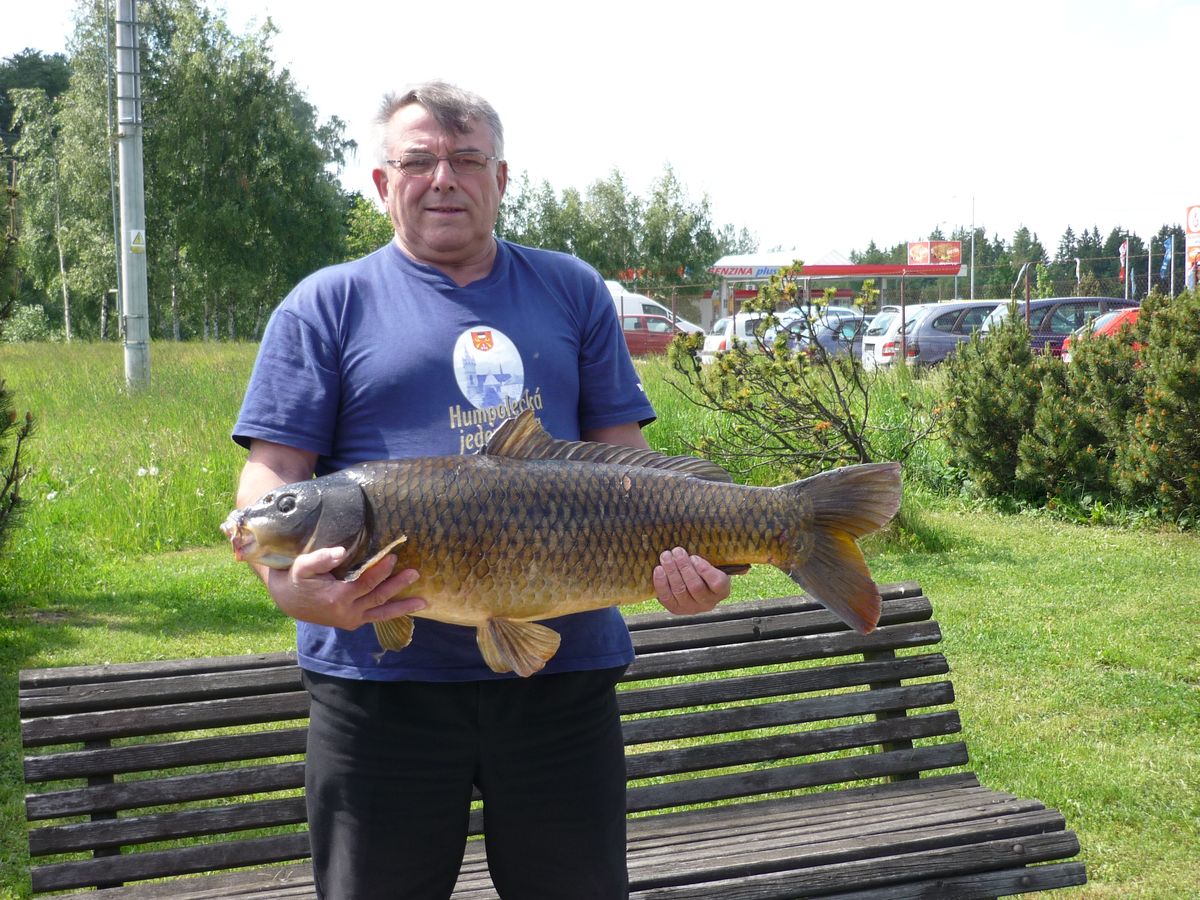 Josef Studnička, Humpolec - kapr 80 cm, 12 kg - přehrada Sedlice 23.5.09