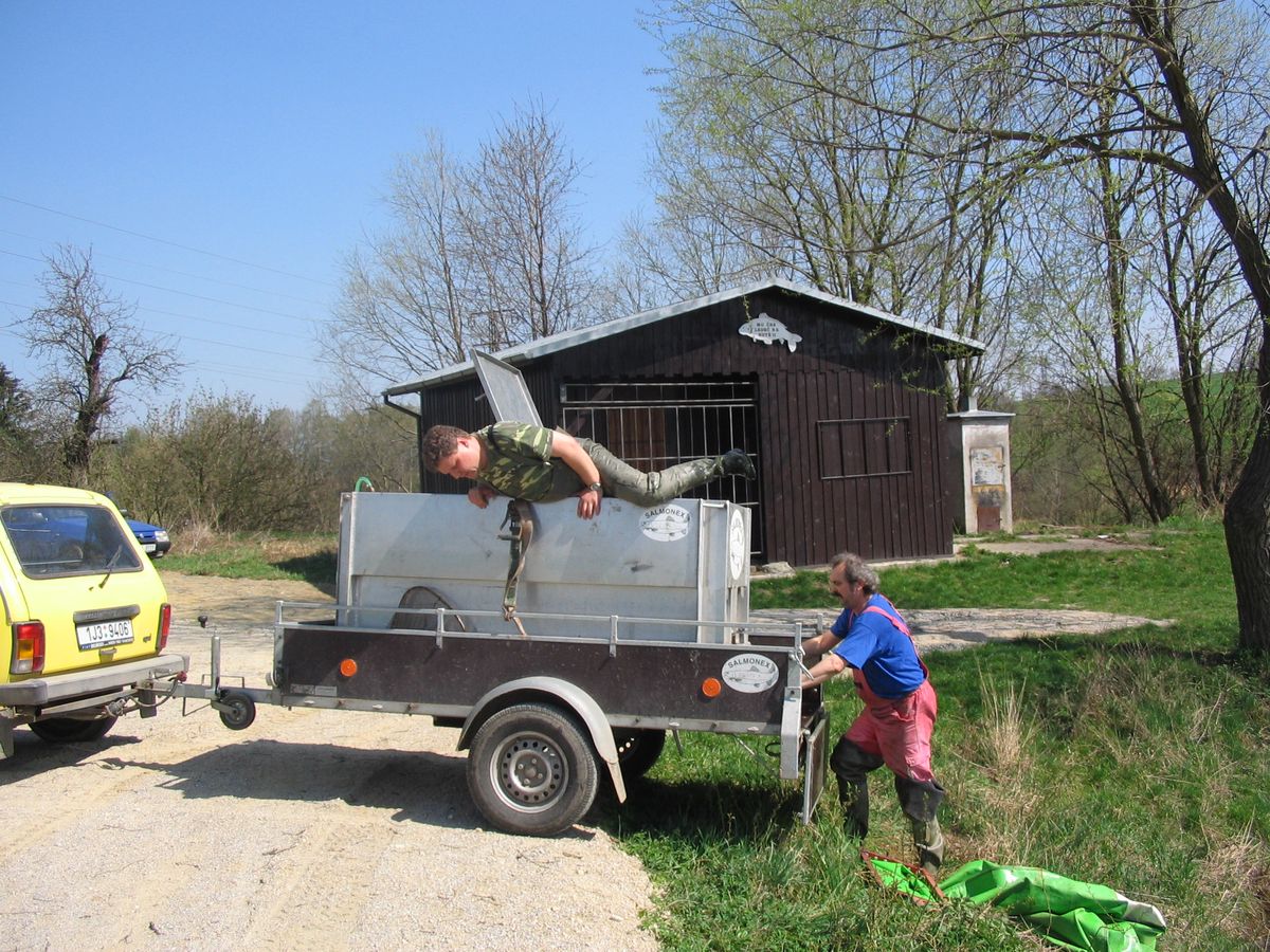vysazení Hutě  II. - 26.JPG