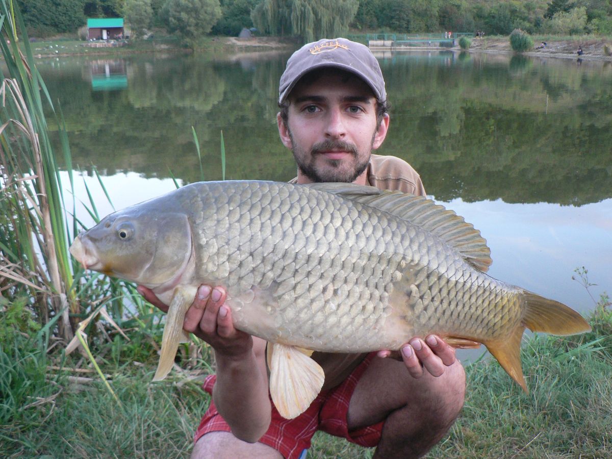 Slušný kapřík přes 70cm