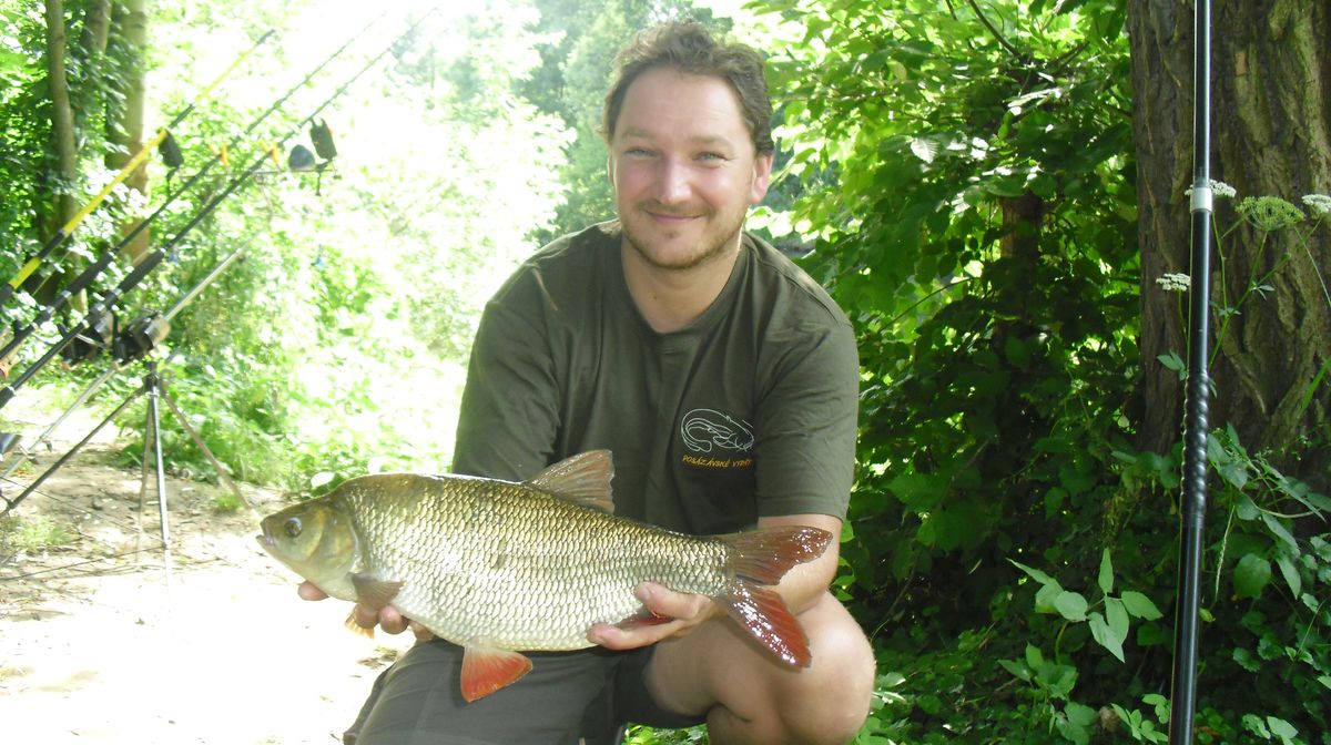 Dyje jelec jesen 56cm