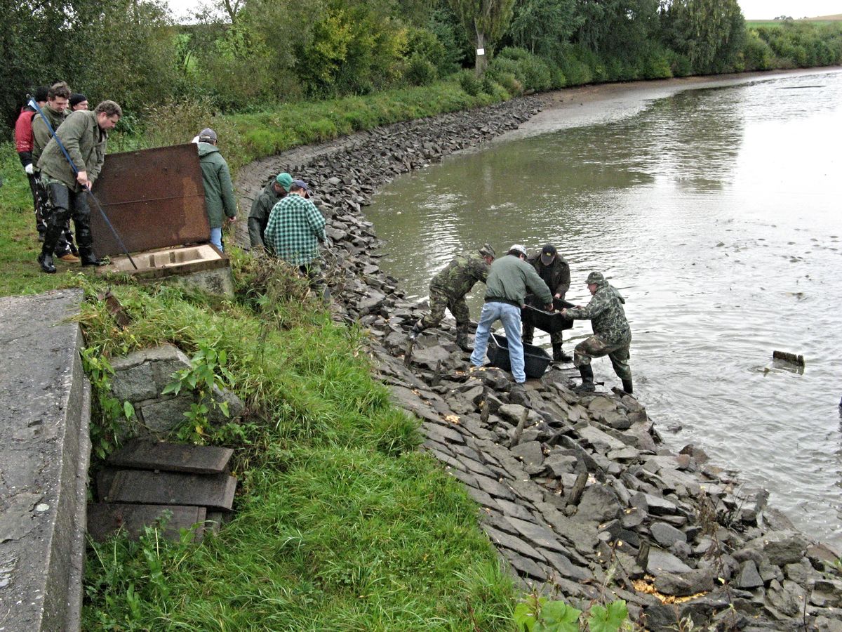 Výlov 2011 - 17