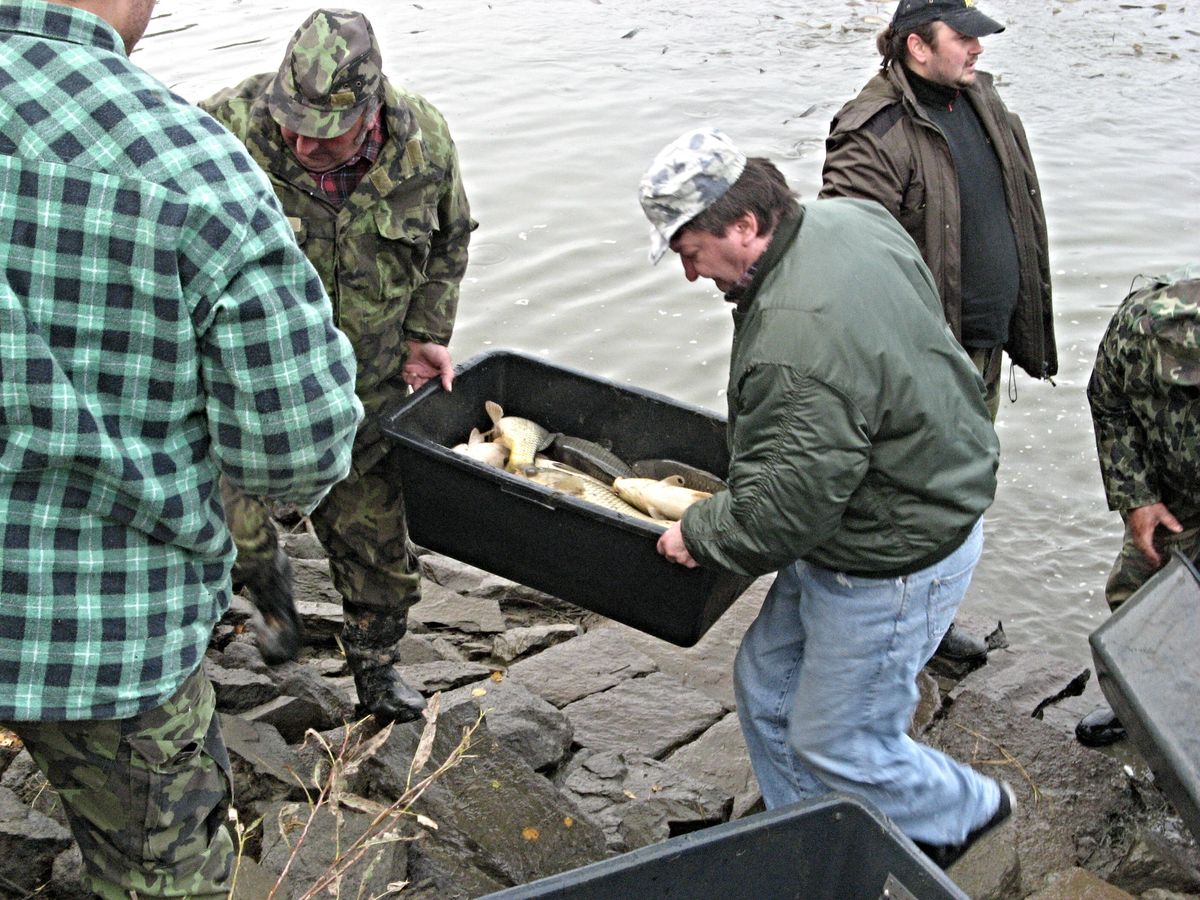 Výlov 2011 - 22