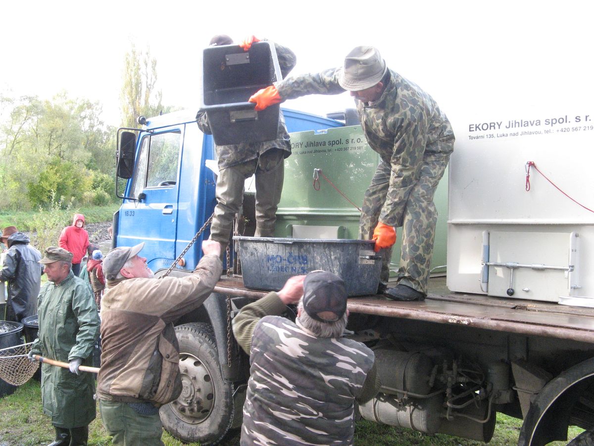 Výlov 2011 - 28