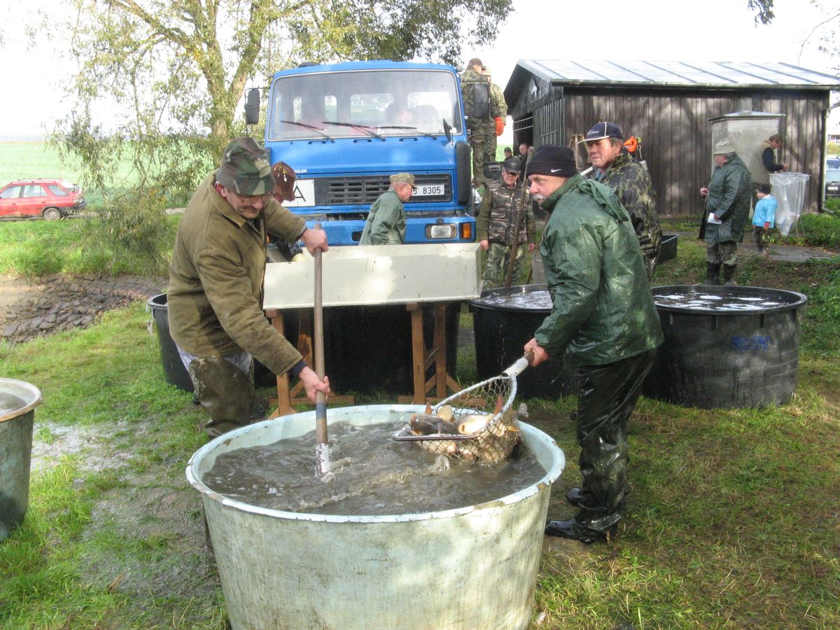 Výlov 2011 - 39