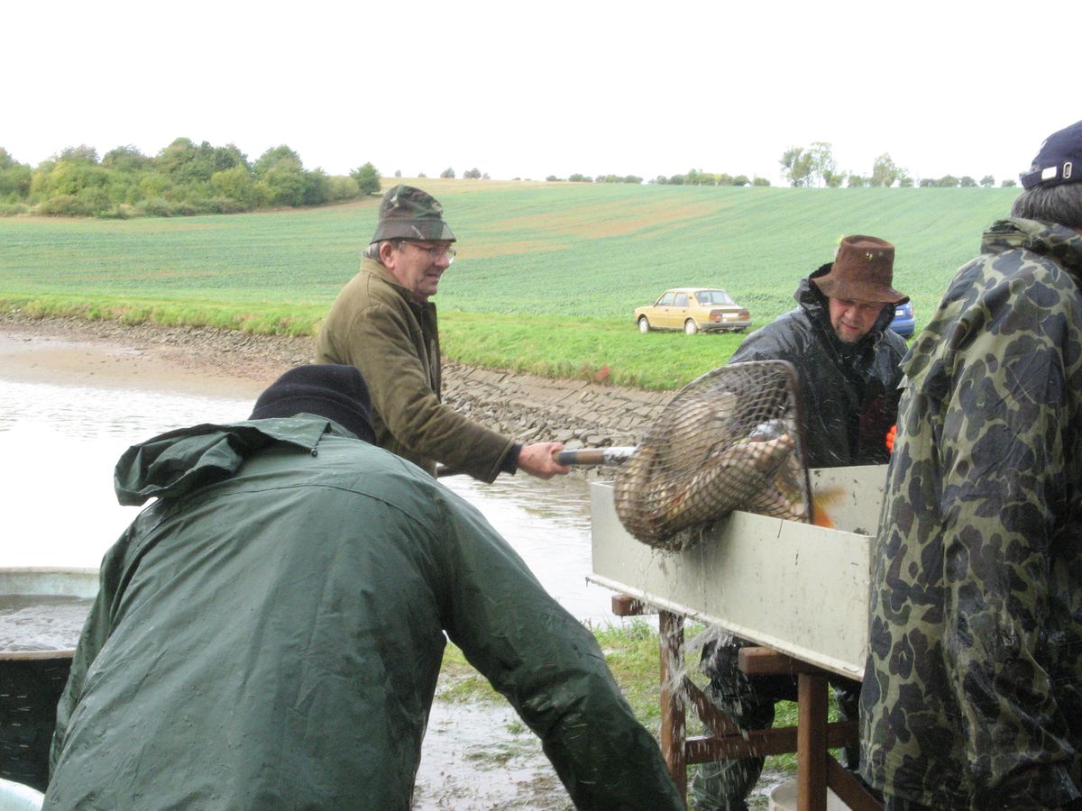 Výlov 2011 - 42