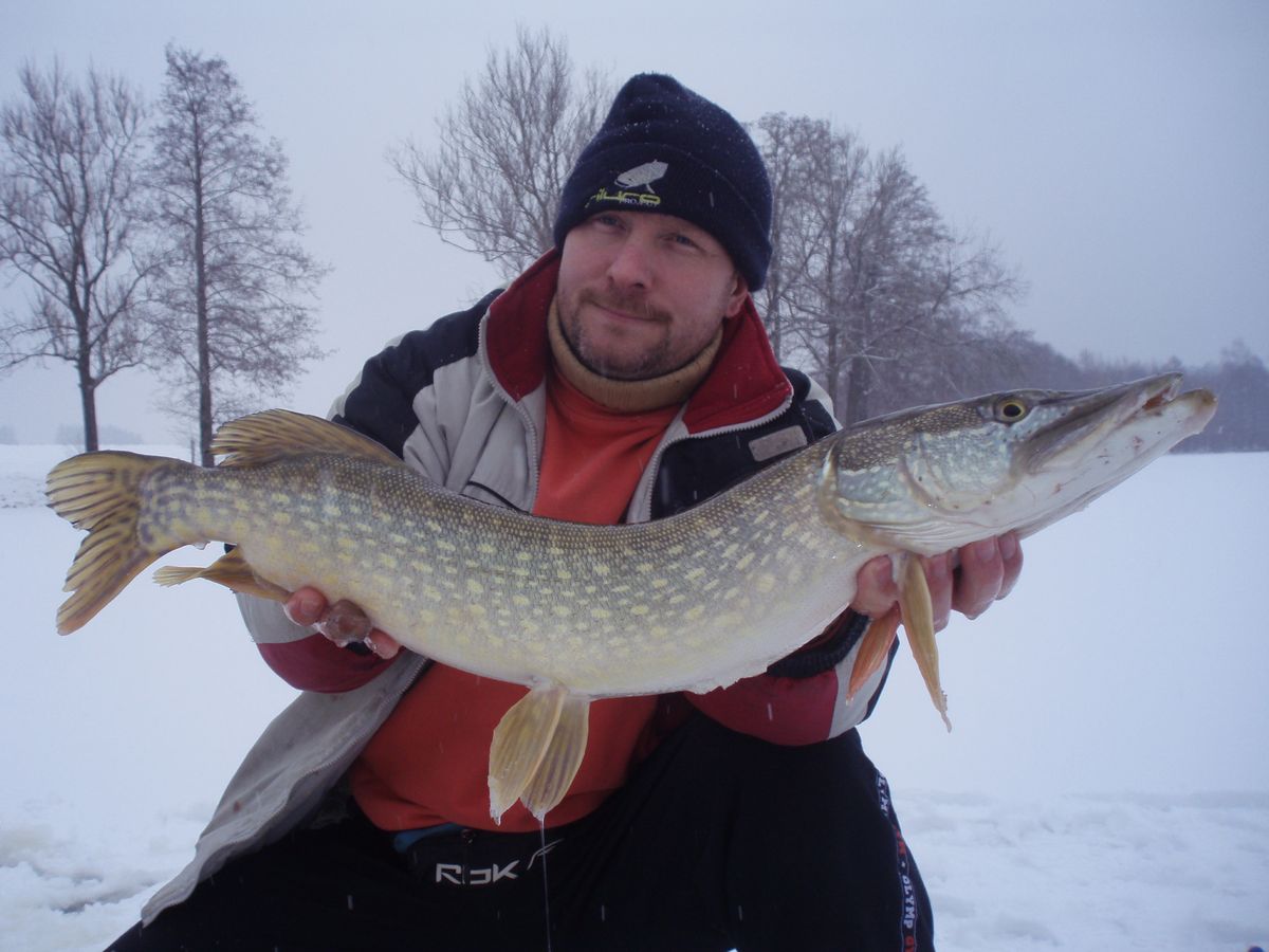 Hrdobec a štika 80cm Řeplice