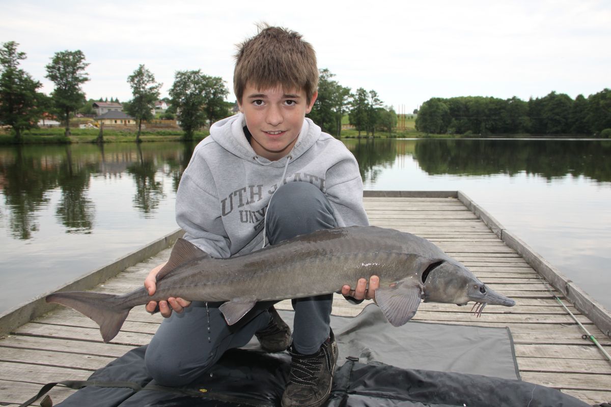 Tomáš Vrbka jeseter 95cm Pilský rybník