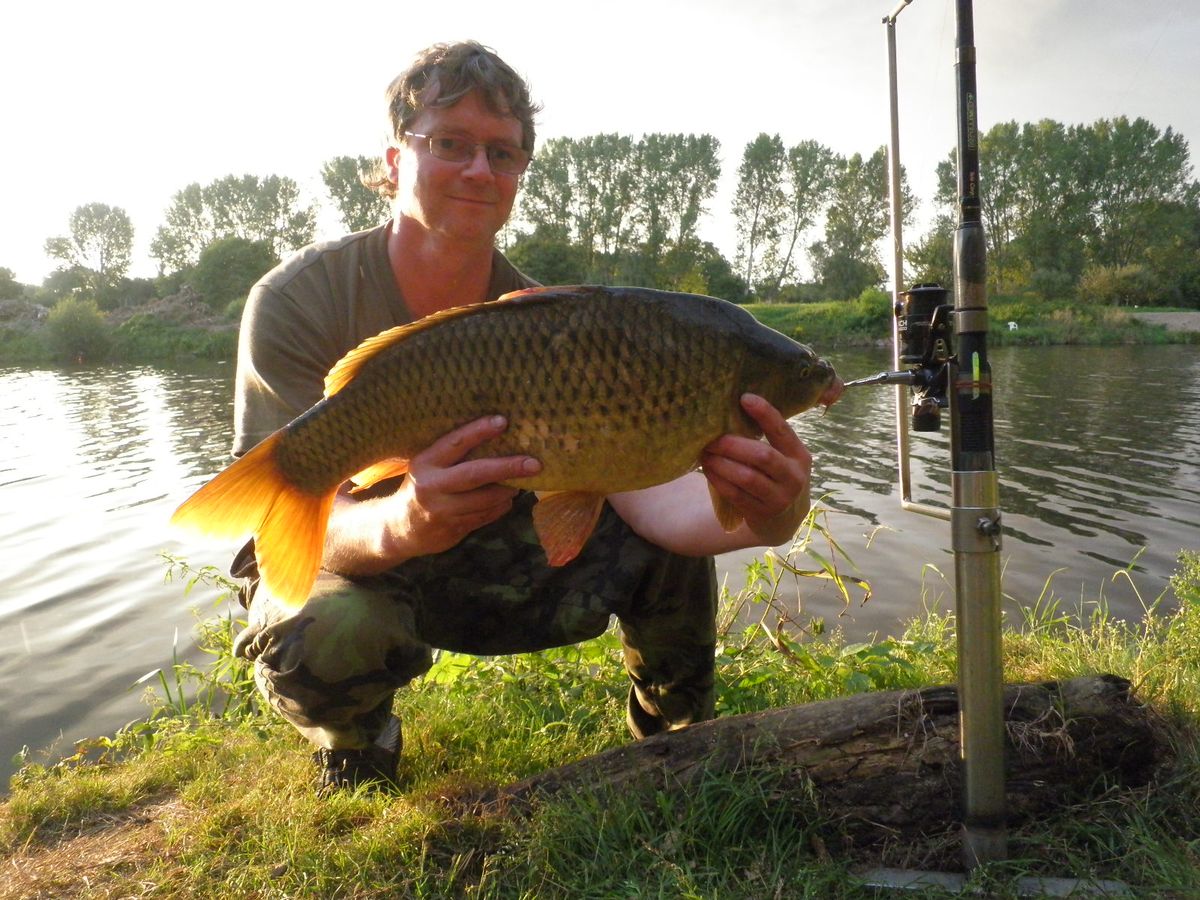 labe 70cm