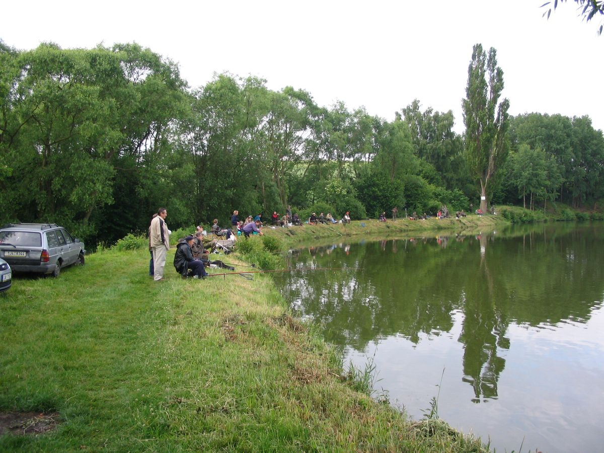 dospělí 03.JPG