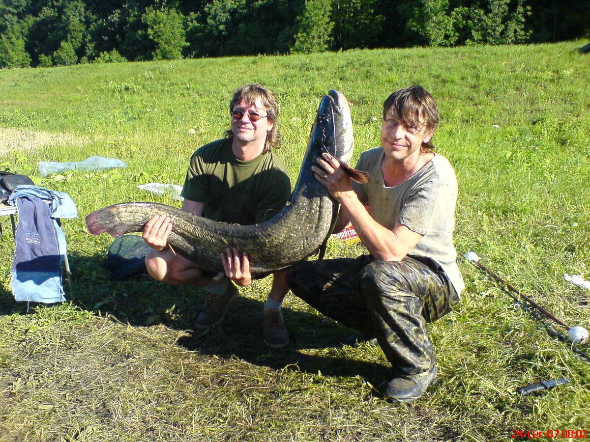 Dyje 06.JPG