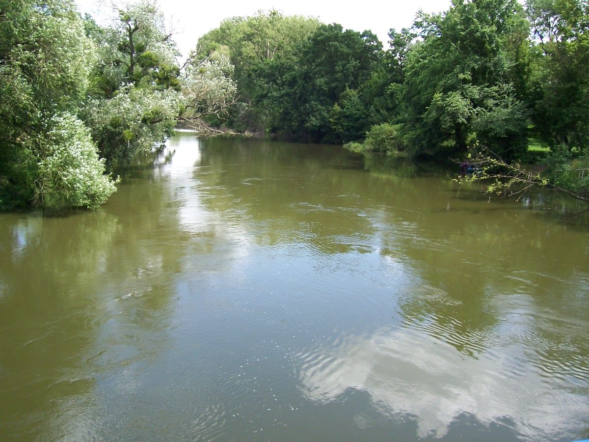Dyje 07.jpg