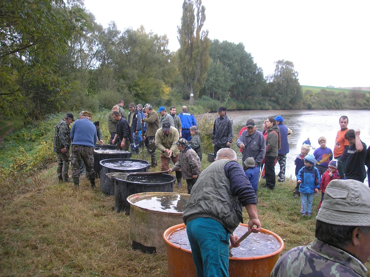 Vylov Hute 2 012.jpg