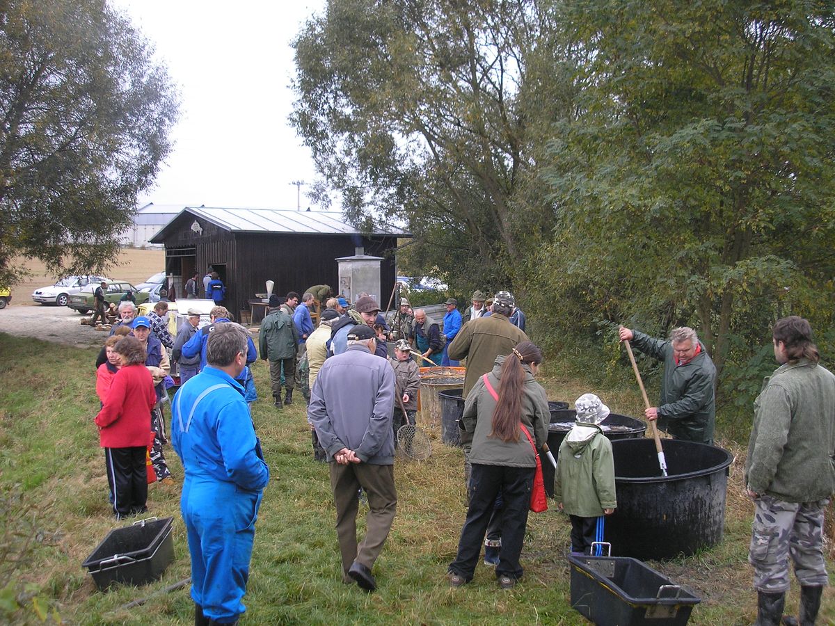 Vylov Hute 2 015.jpg