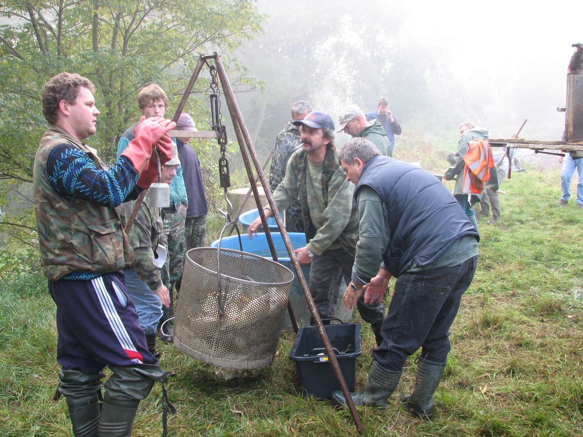 Výlov Hutě II. 14.jpg