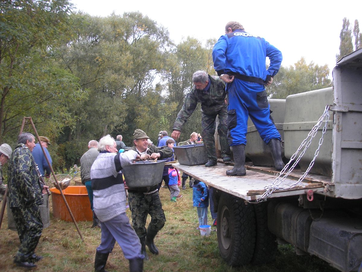 Vylov Hute 2 025.jpg