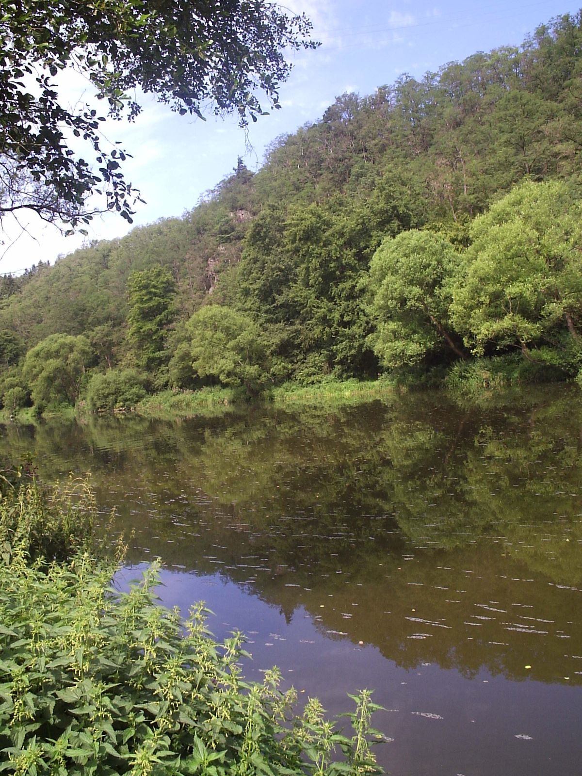 Sázava 18.jpg